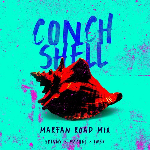 Conch Shell